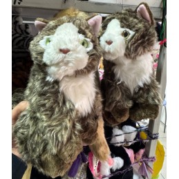 MASKOTKA KOT Z MUZYKA