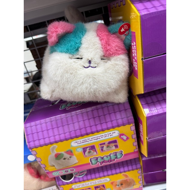 MASKOTKA KOTA Z MUZYKA