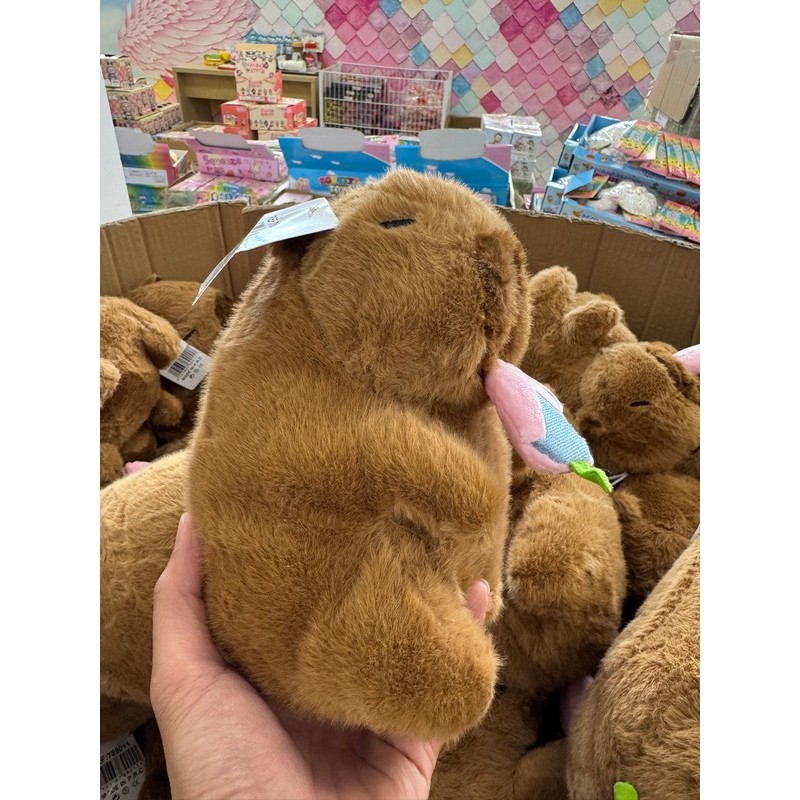 MASKOTKA KAPIBARA 25CM