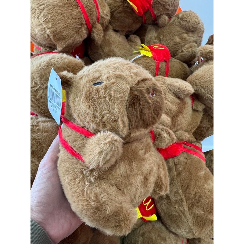 MASKOTKA KAPIBARA 25CM