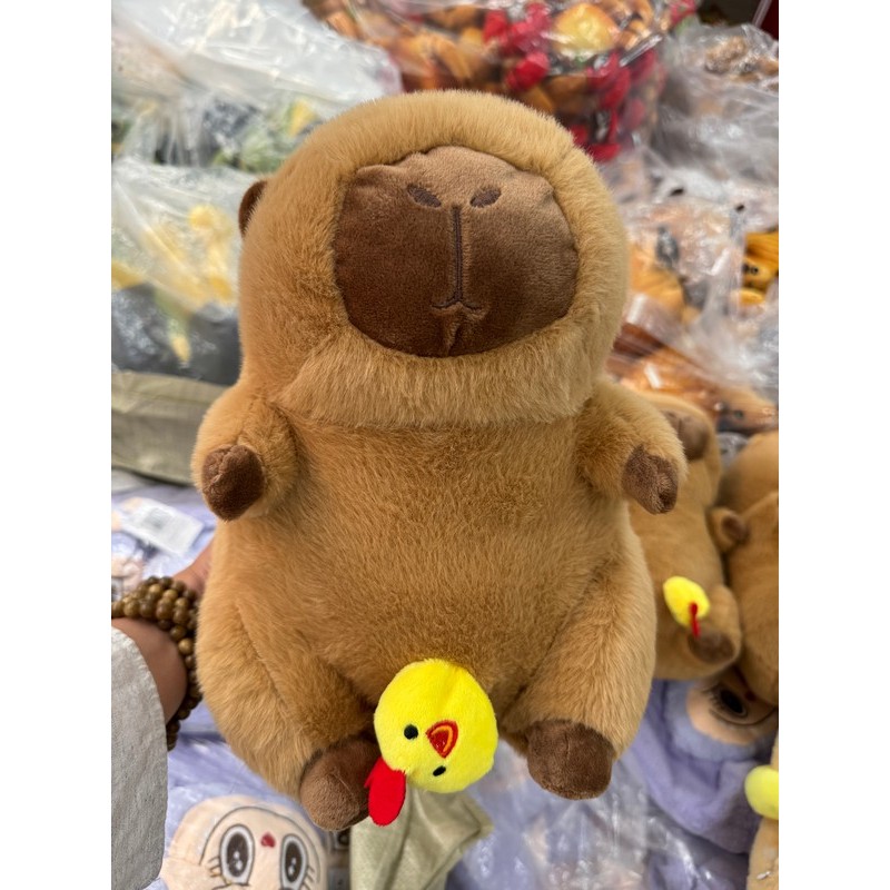MASKOTA KAPIBARA 25CM
