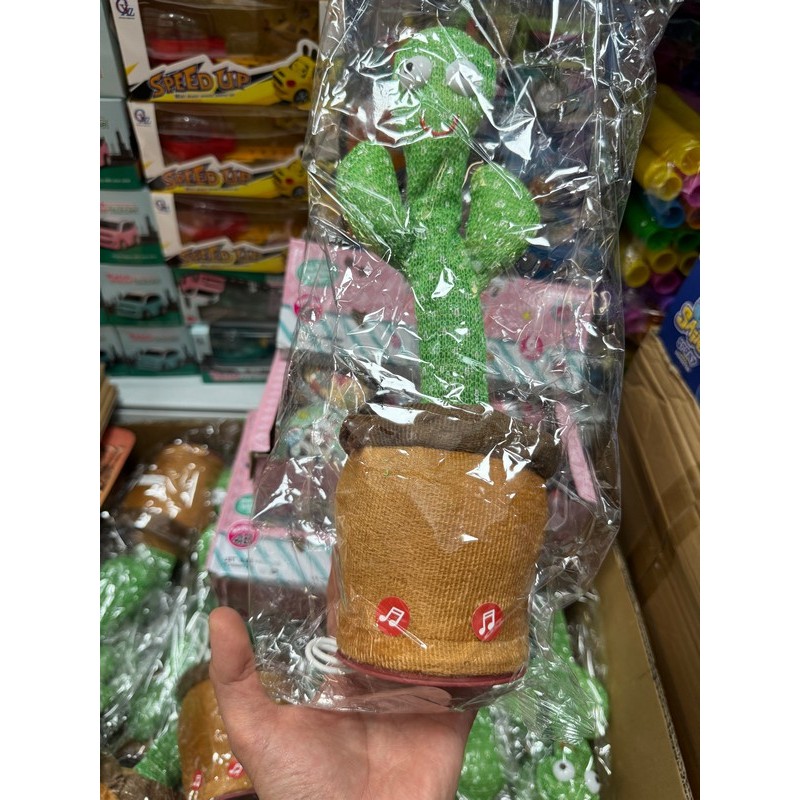 MAŁY KAKTUS POTRAFI ROZMAWIAC Z MYZYKĄ